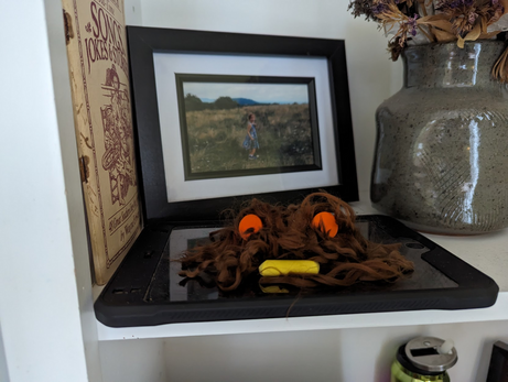 Photo of a small mound of reddish-brown dog hair, shaped into a monster's face, sitting on a small black ipad. The ipad/monster combo is on a white bookshelf.